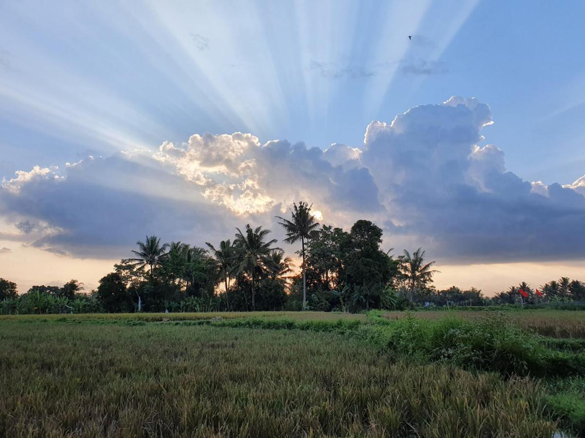 ماجلانج Borobudur Bed & Breakfast المظهر الخارجي الصورة