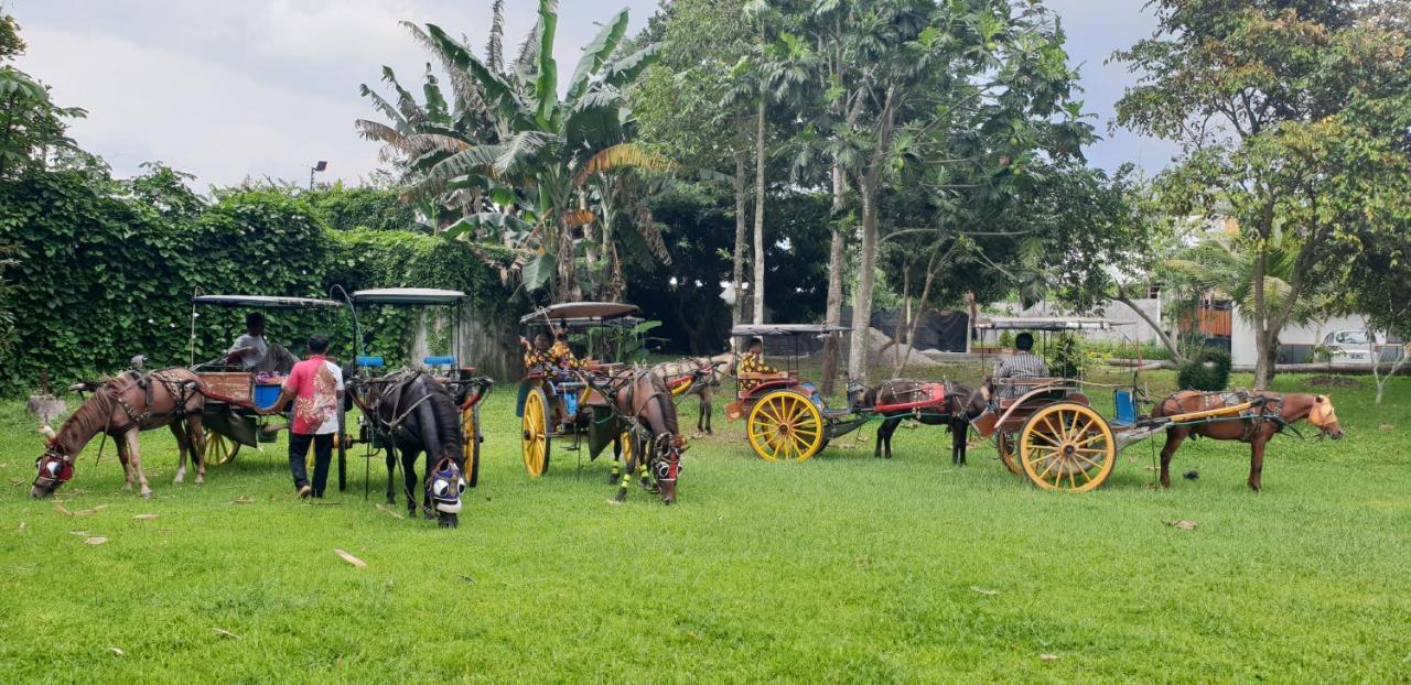 ماجلانج Borobudur Bed & Breakfast المظهر الخارجي الصورة