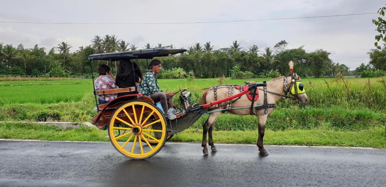 ماجلانج Borobudur Bed & Breakfast المظهر الخارجي الصورة